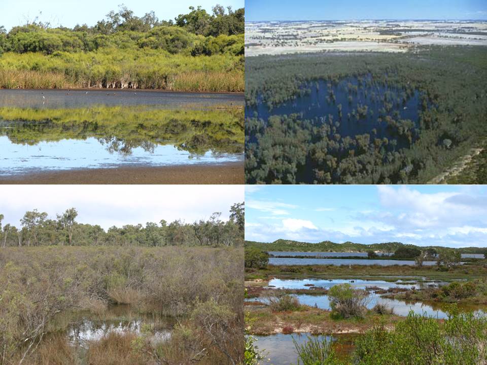 recovery-catchment