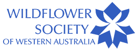 wildflower-society-of-western-australia