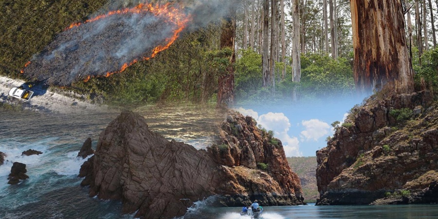 forest-and-ecosystem-management
